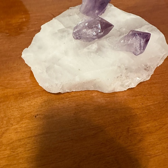 🧡🧡🧡Like this listing to be notified when I go live!🧡🧡🧡 - Picture 12 of 17